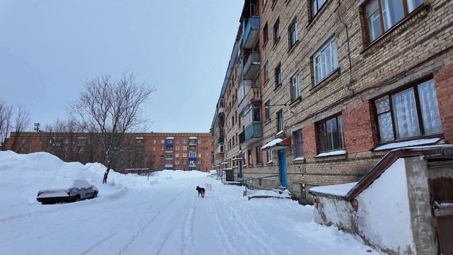 🔥пос. Южный/Инта. 25-й год .Весна.🔥Живёт как может.... смотреть онлайн