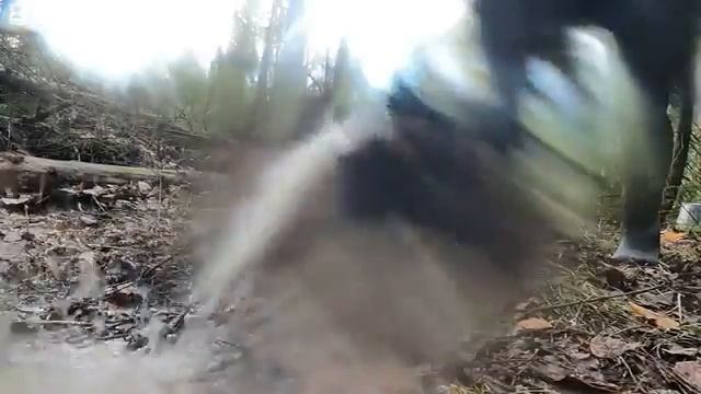 УШЕЛ ОДИН жить в ДОМ ПОД ЗЕМЛЕЙ | МЕДВЕДИЦА ПРИШЛА С МЕДВЕЖОНКОМ | КРЫША НЕ ВЫДЕРЖАЛА смотреть онлайн