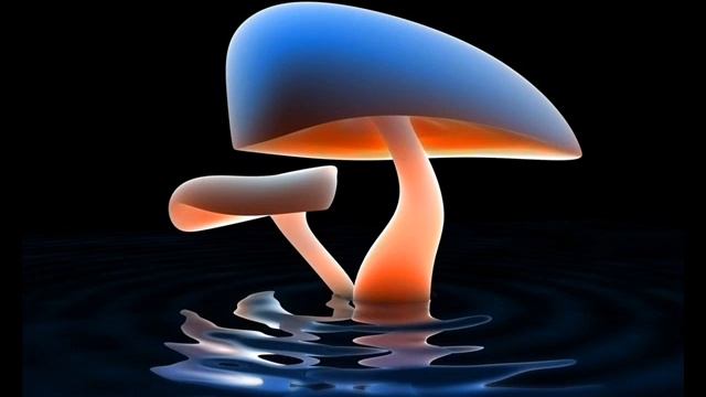 Cryptus - Replay смотреть онлайн