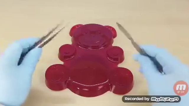 "ризиновый" медведь Валера, ПОЗНОВАТЕЛЬ!! смотреть онлайн