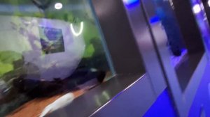 Океанариум в Китае. Это бомба