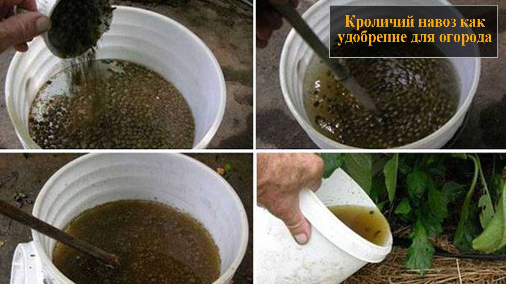 Кроличий навоз как удобрение смотреть онлайн