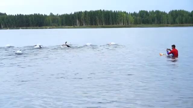 Cofee Lake Proussoff смотреть онлайн
