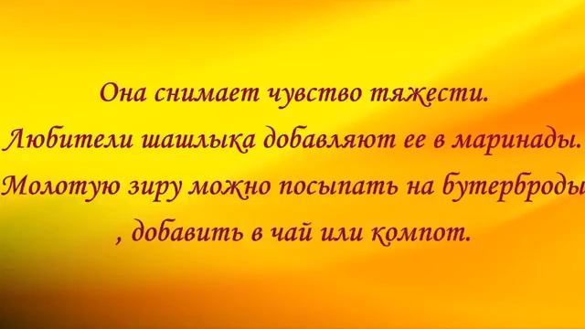 специя зира смотреть онлайн