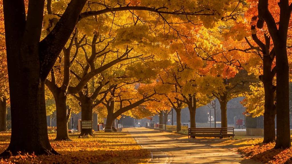 Jazz Music For Relax, Study And Work