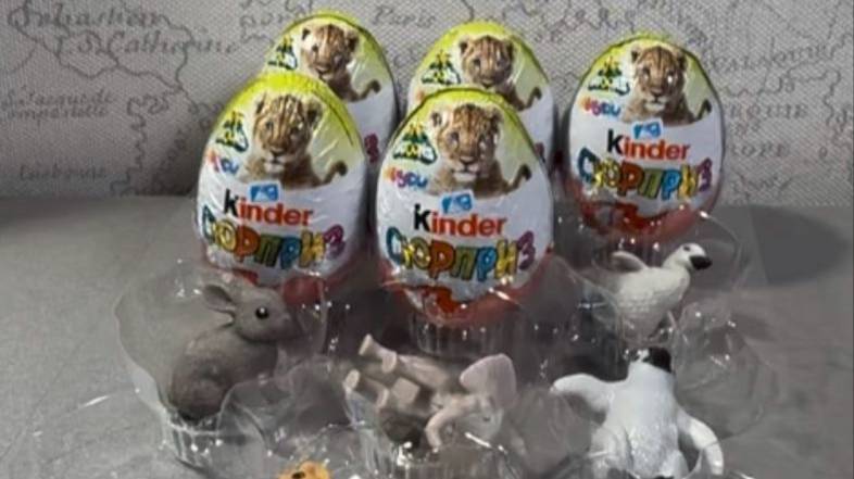 Распаковка Киндер Сюрпризов Natoons 2025 - детеныши животных