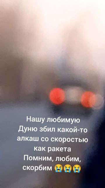 мне очень жалко её 😭😭😭😭
помним,любим,скорбим❤️ смотреть онлайн