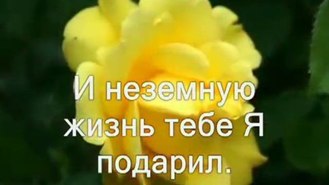 От раннего утра(со словами) — копия смотреть онлайн