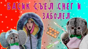 БАСИК ОБЪЕЛСЯ СНЕГА И ЗАБОЛЕЛ / БАСИК И ХОЗЯЙКА ГУЛЯЮТ ЗИМОЙ