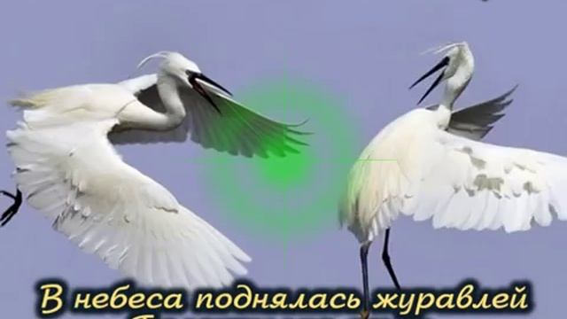 ЖУРАВЛИ смотреть онлайн