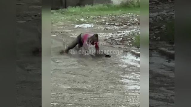 Приколы с кустами (юмор).mp4 смотреть онлайн