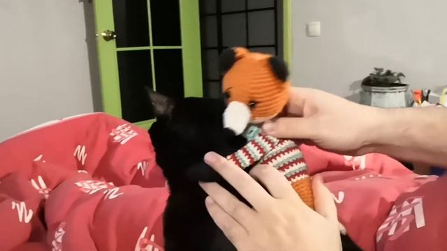 22. Как Рыжик Нафаню терпению учит. смотреть онлайн