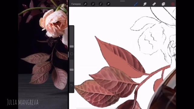 Рисуем с Procreate, дизайн с Procreate, эскизы в Procreate