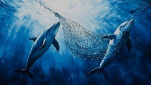 Песня "Плач дельфина"