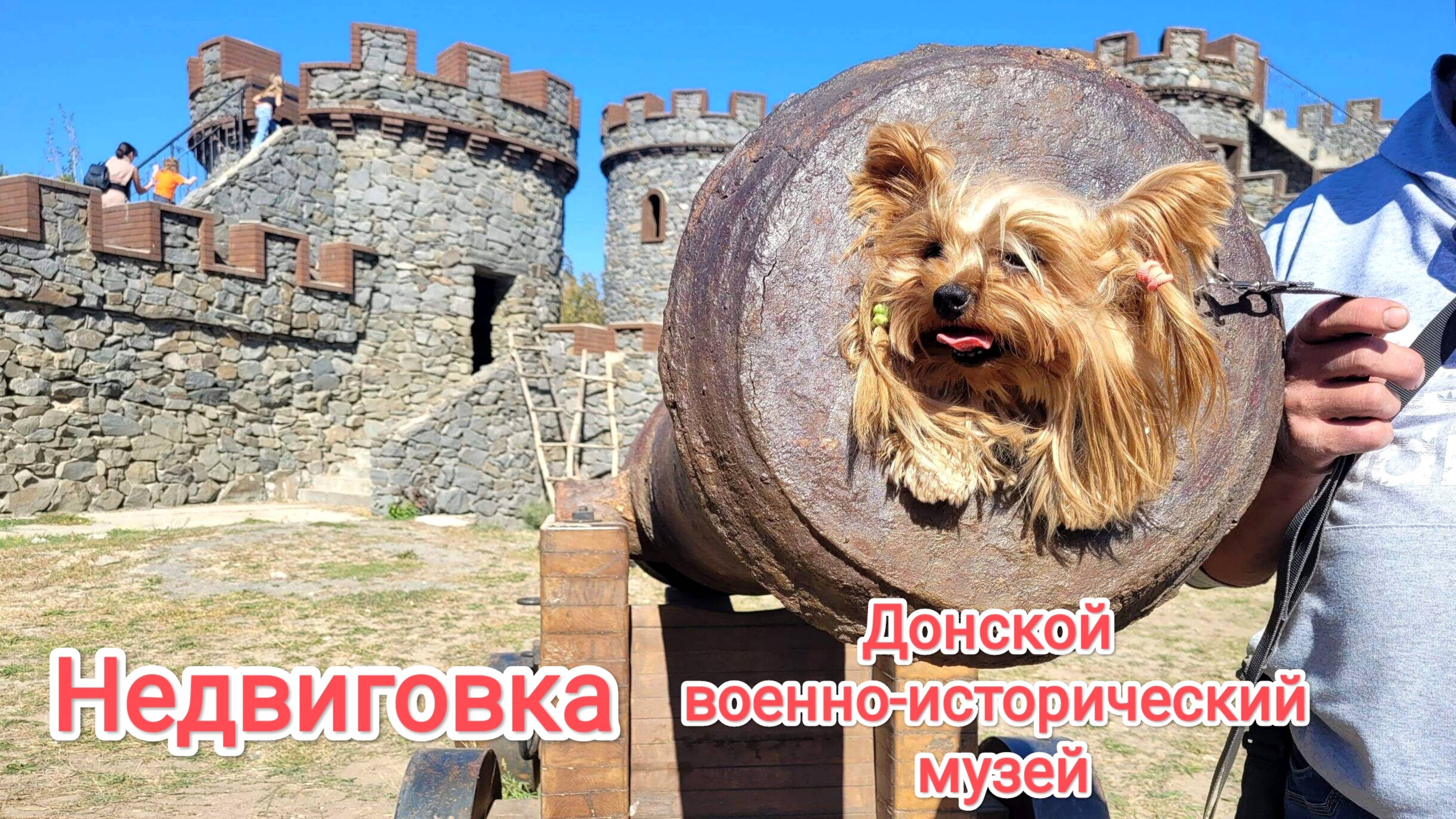 Недвиговка смотреть онлайн