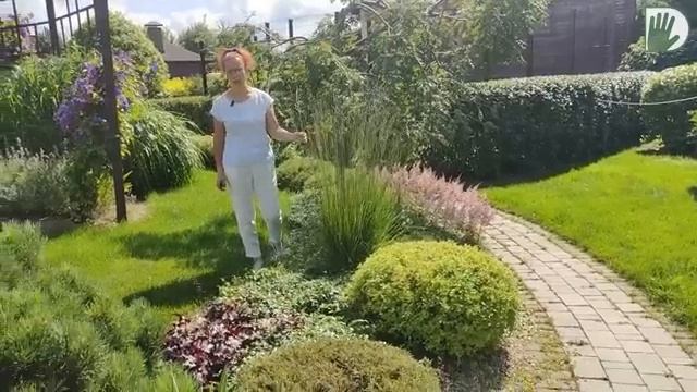 Видео журнал _СОФ №122_ Знакомый сад. ДИЗАЙН+УХОД. Часть 2 смотреть онлайн