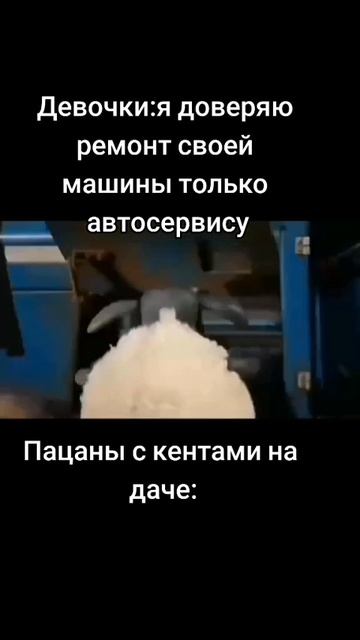 мемы смотреть онлайн