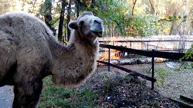 Неожиданность смотреть онлайн