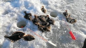 Посетил ОКЕАНСКУЮ,рыбы нет - народу много.Рыбалка на КАМБАЛУ в море.Ловля камбалы на булера и блёсна