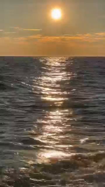 just the sea and nothing more смотреть онлайн