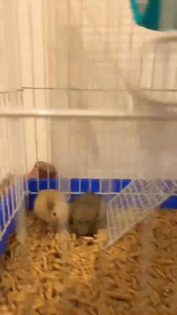 25 декабря 2023 г. смотреть онлайн