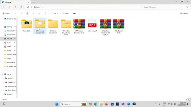 HASP/SRM WB-Aes Dongle Emulator kit смотреть онлайн