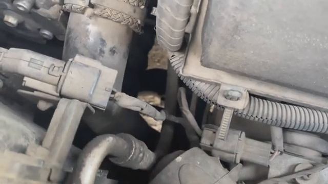 Что свистит? Турбина или интеркулер? смотреть онлайн