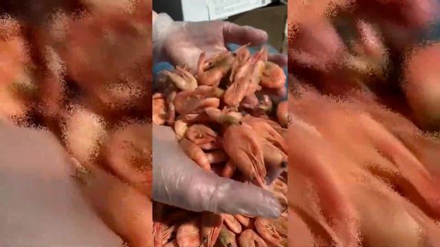 Северные варено-мороженые креветки