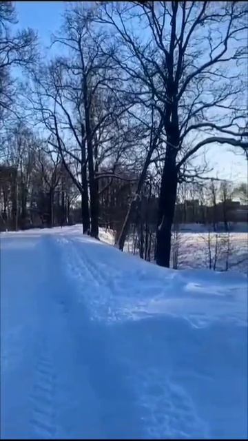 Февральский вечер на елагином острове. смотреть онлайн