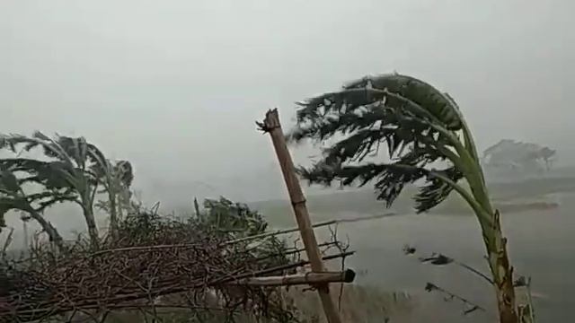 Boishakhi zor смотреть онлайн