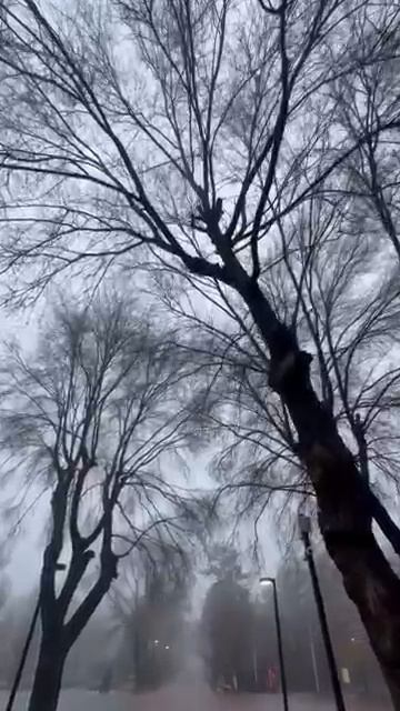 My ambient смотреть онлайн