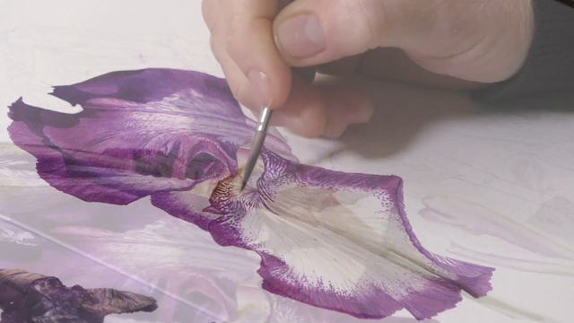 Painting a Bearded Iris with Billy Showell ⎮Watercolour Beautiful смотреть онлайн
