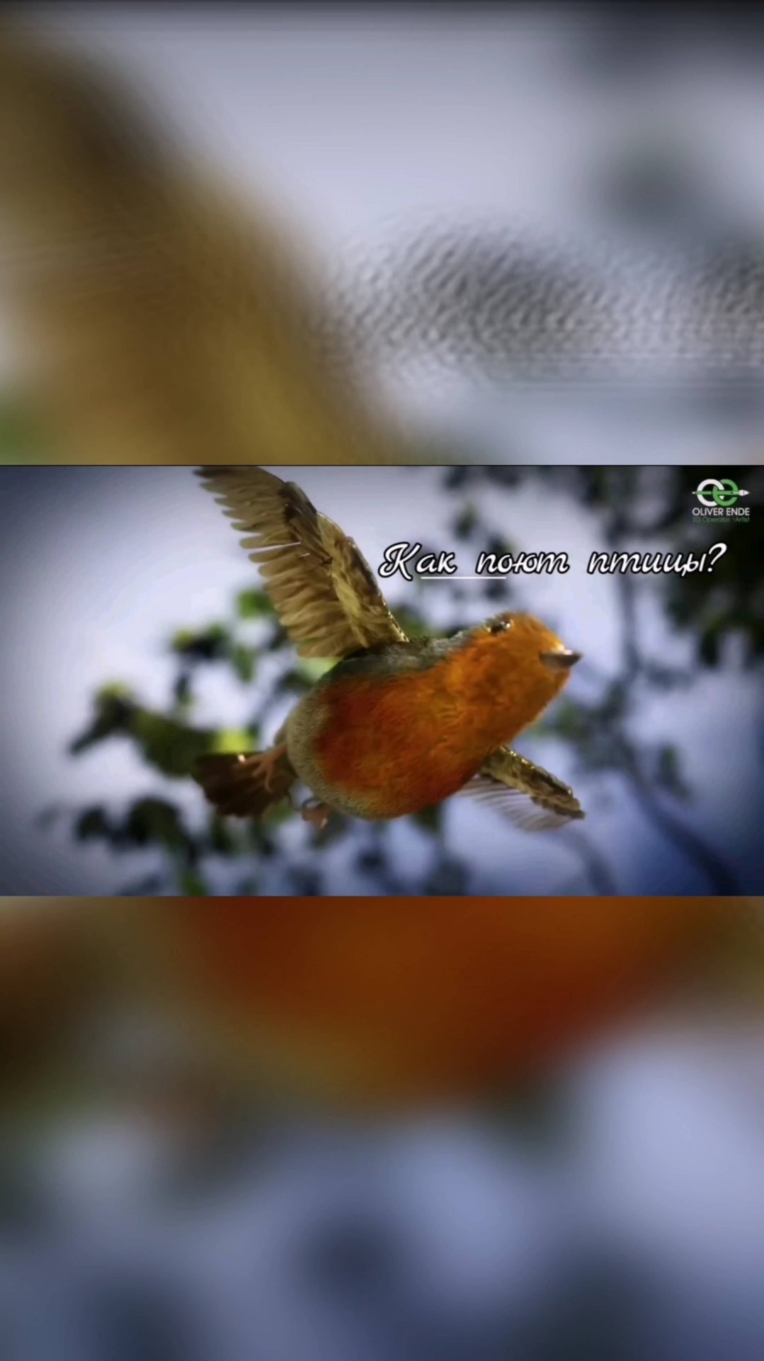 Как поют птицы? смотреть онлайн