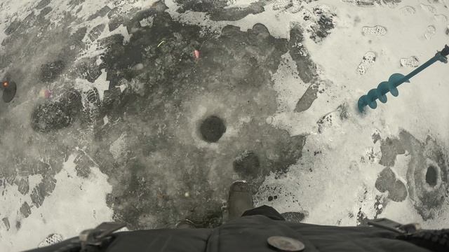 ДАЛ ШАНС РЫБКЕ 👀 смотреть онлайн