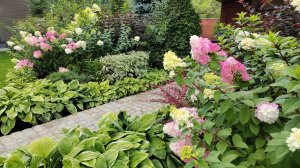 Обзор лесного участка 15 феврвля. Что уже сделали в саду и что планирую на новый сезон.