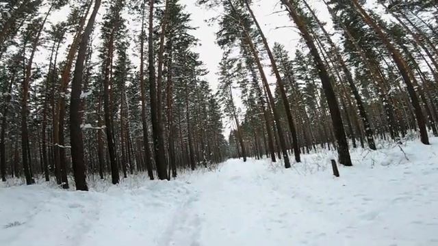 Зимнее бездорожье на Mitsubishi PAJERO.Off Road 4х4. смотреть онлайн