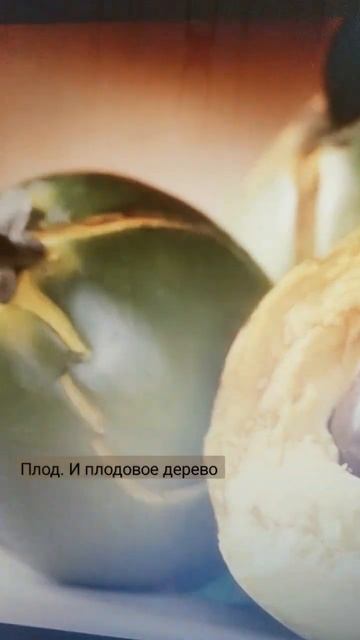 лукума смотреть онлайн