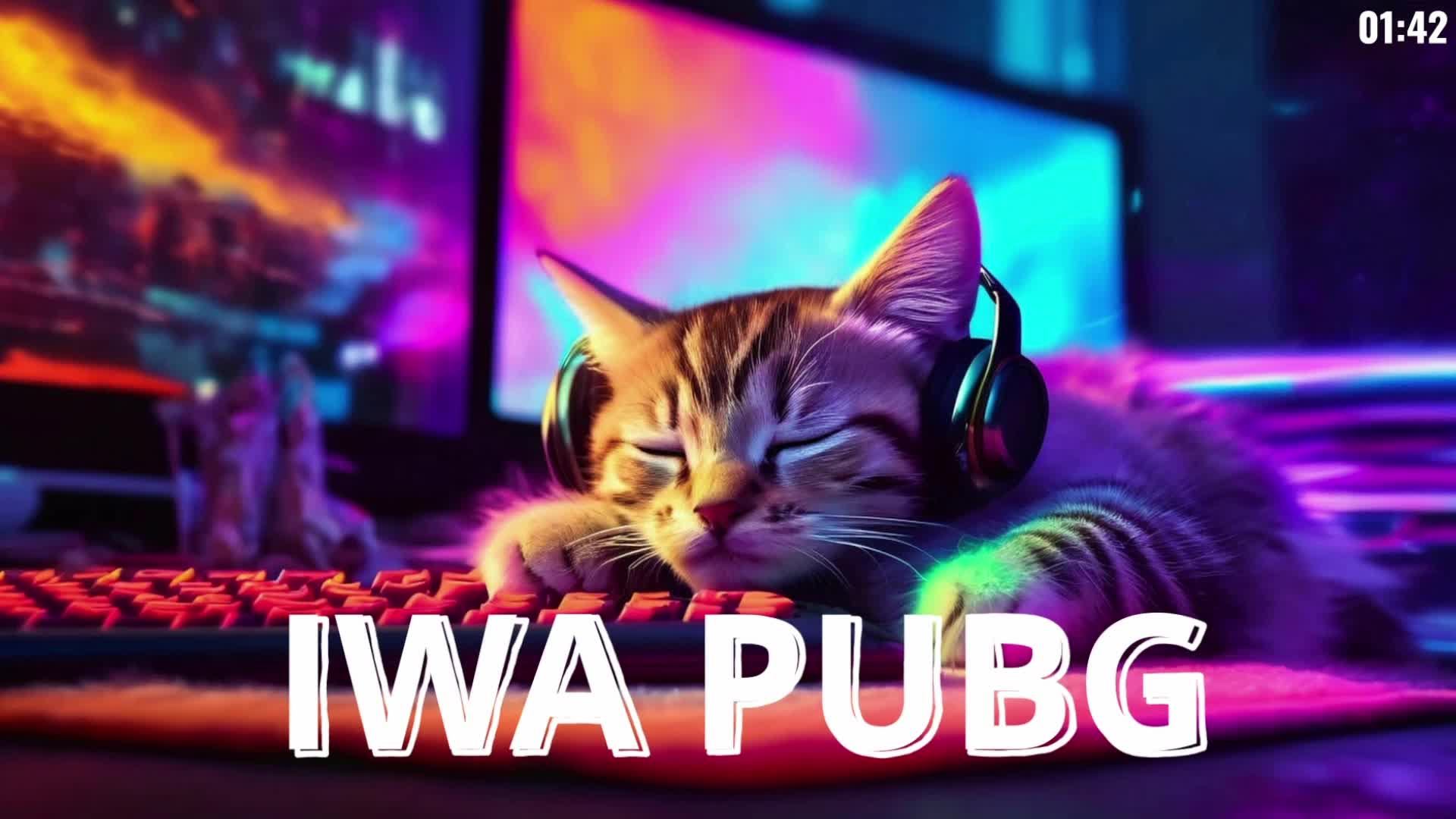 СТРИМЧАНСКИЙ ПО PUBG: BATTLEGROUNDS смотреть онлайн