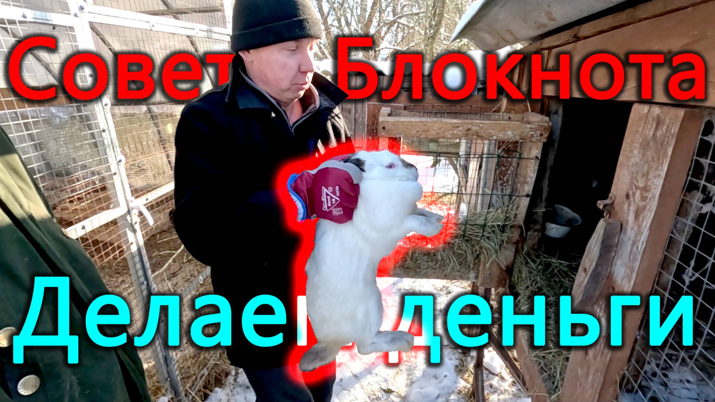 Делаем деньги на кроликах. Советы Деревенского Блокнота которые мы заслужили. Готовимся к посадкам. смотреть онлайн