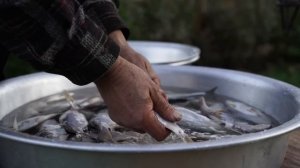 Kənd Həyatı. Winter Fish Preservation  Simple and Fridge Free Method