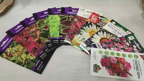 ПОСЕВ ЦВЕТОВ: КОЛЕУСЫ, ГАЦАНИЯ, ГВОЗДИКА ПЕРИСТАЯ, ЛАВАНДА #дача #цветы #посевсемян #ра смотреть онлайн