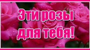 «Эти розы для тебя, я хочу чтоб знала ты, то, что я не смог сказать, скажут все мои цветы...»