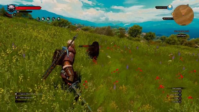 The Witcher 3: Wild Hunt - Axii On A Panther