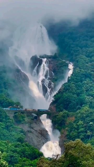 rail video jharna water rail 🚂👌 #shivvidhatarailvlogs 🌲 смотреть онлайн