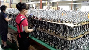 Amazing Mass Production Process in Korea Factory TOP 5.