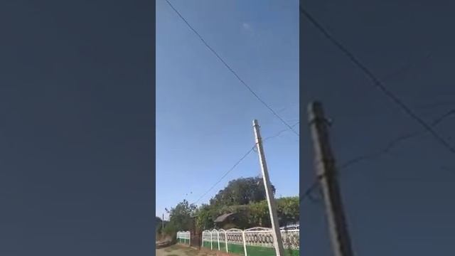 Нашествие птиц всем смотреть!!! Армия птиц смотреть онлайн