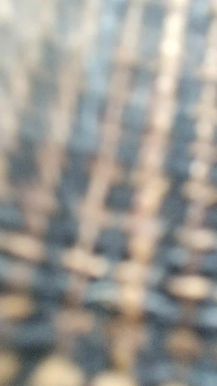 🤯🤯🤯🤯 смотреть онлайн