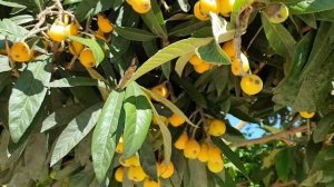 ОБЗОР ОТЕЛЯ PARADISE 3*, ТУРЦИЯ, КЕМЕР (ЦЕНТР), МАЙ 2019