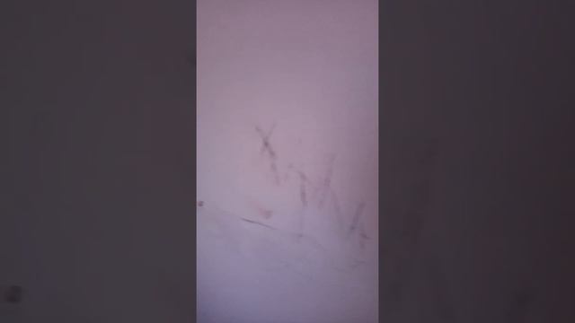 дом ветеранов города полысаево малолетки на стенах исписали 1 подезд хаус смотреть онлайн