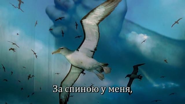 Ты напоил меня-караоке — копия смотреть онлайн